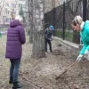 школа