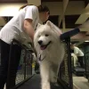 СпортШоуКлуб Изображение 2